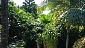 Um jardim exuberante com palmeiras e um caminho de pedra.