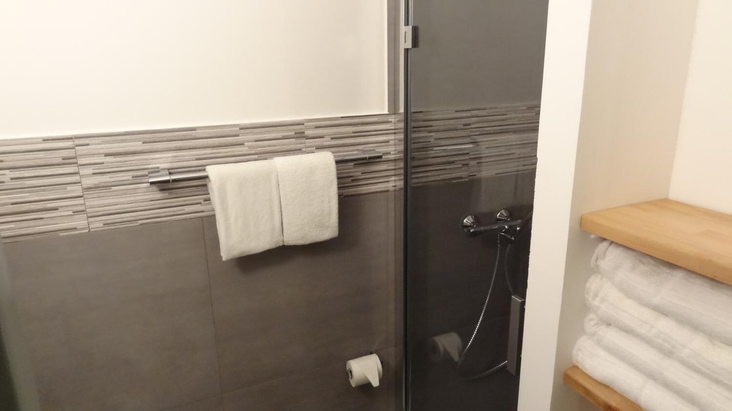 A bathroom with a glass shower enclosure, a towel rack with two towels, and a toilet paper roll on the floor.