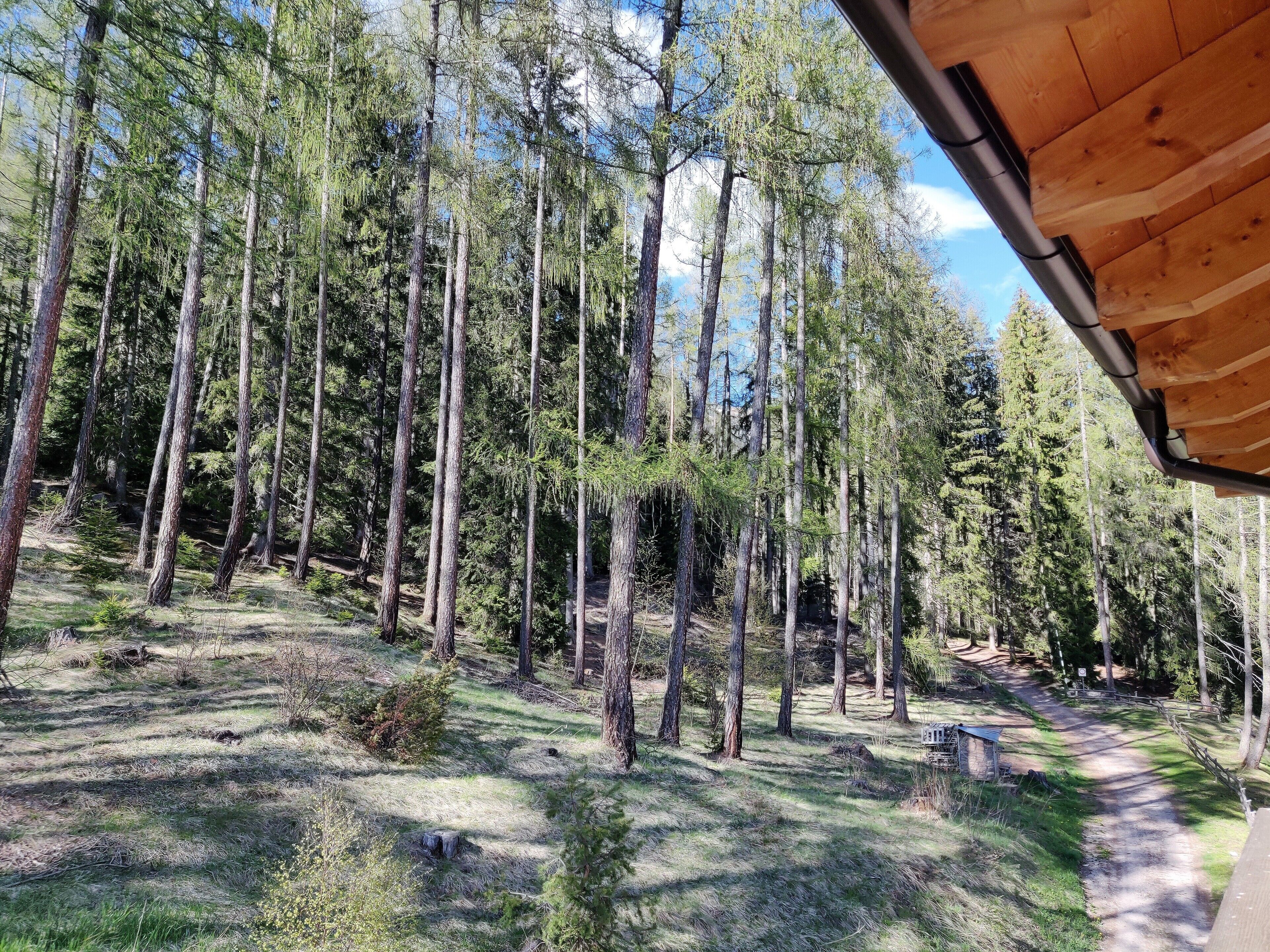 family room, 1 queen bed with sofa bed | view from room