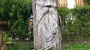Une sculpture en bois représentant un visage, sculpté dans le tronc d’un arbre, entourée de verdure et avec un bâtiment doté de balcons en arrière-plan.