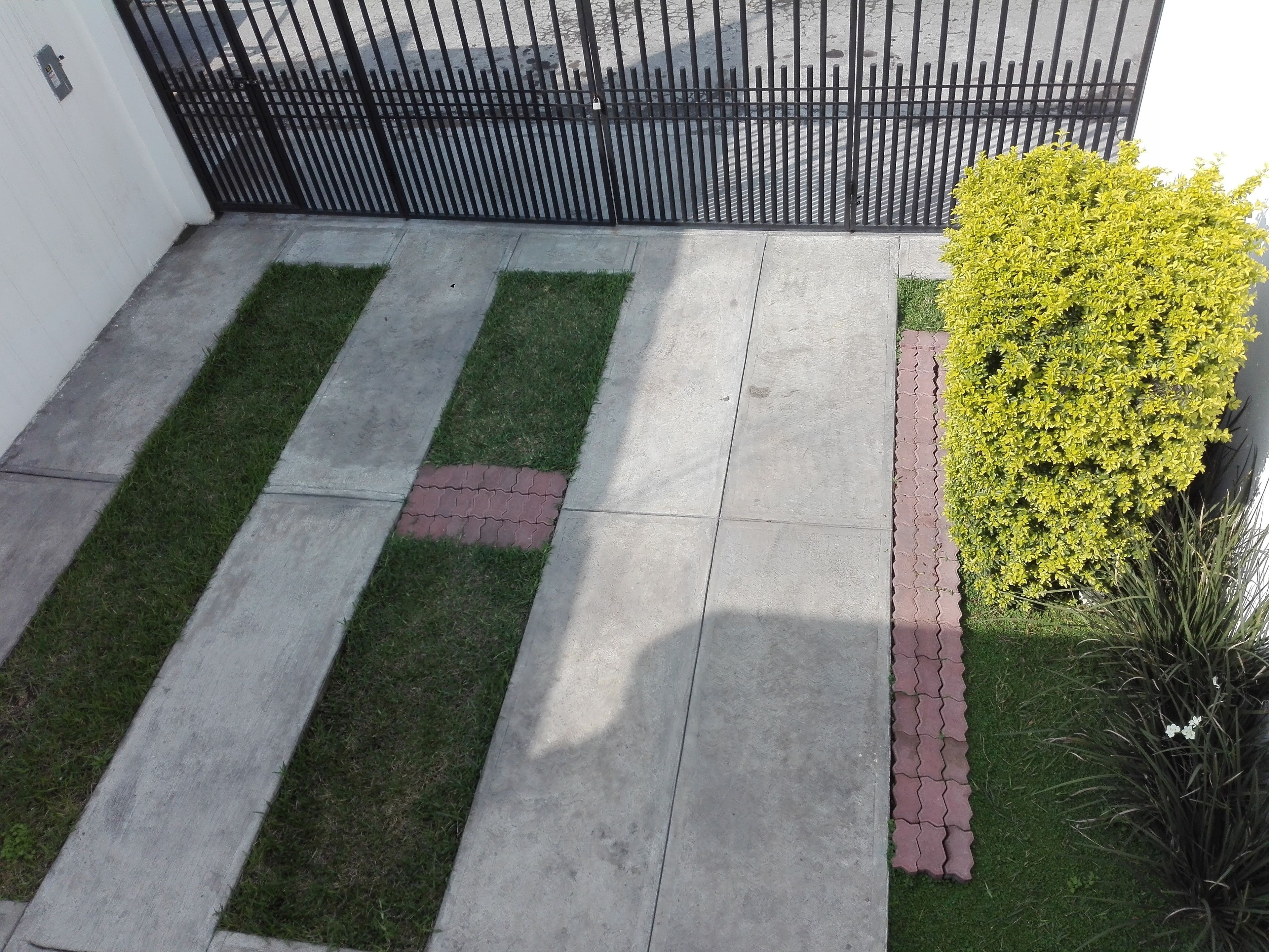 A paved pathway with alternating grass and brick sections, a black metal fence, and a yellow flowering bush.