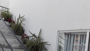 A staircase with black handrails, potted plants with red flowers, and a window with a white frame and curtains.