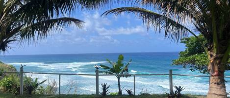 A coastal view with a wooden fence, palm trees, and ocean waves.