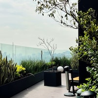 Una terraza en la azotea con vistas al horizonte de la ciudad, mobiliario exterior moderno y diversas plantas.
