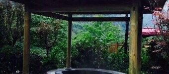 Dujiang Neihongkou Green Mountain View Hot Spring Hotel