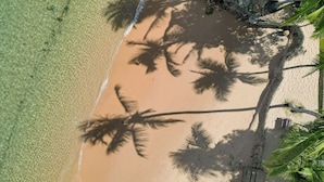 Vista aérea de una playa con aguas cristalinas, palmeras y una costa rocosa.