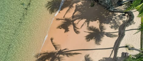 Plage, chaises longues, bar de plage
