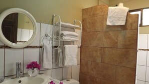Villa, 2 Bedrooms, Kitchen, Mountain View | Bathroom | Shower, towels - Hotel Villas de la Colina (Mercedes)