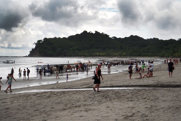 Una playa concurrida con gente caminando y de pie, un bote en el agua y una colina boscosa al fondo.
