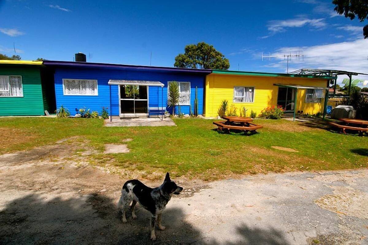 A colorful house with a front porch and a dog in the yard.