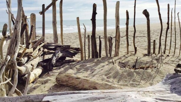 Strand