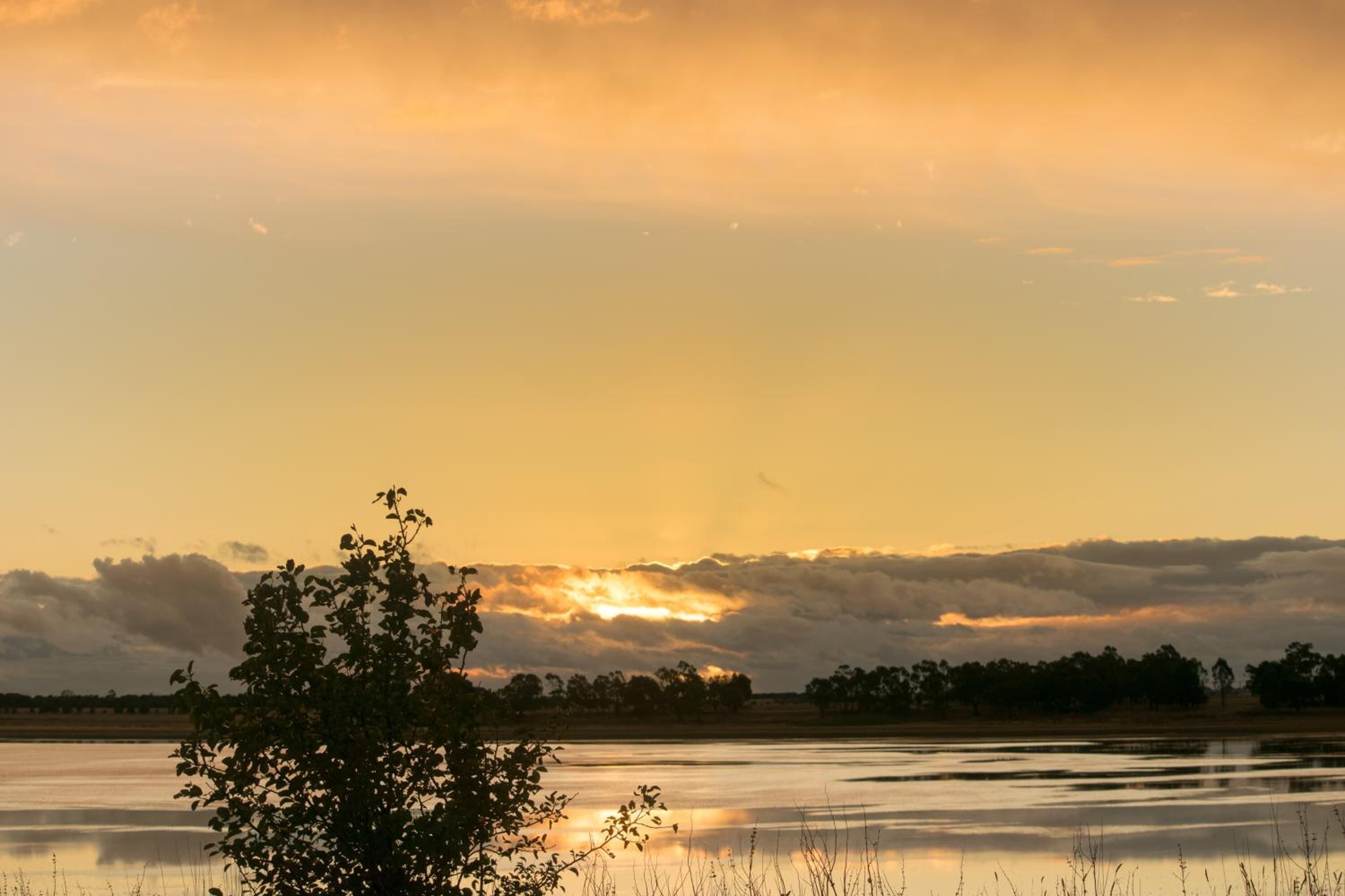 A sunset over a calm lake with a tree in the foreground.