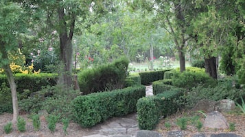 Taman