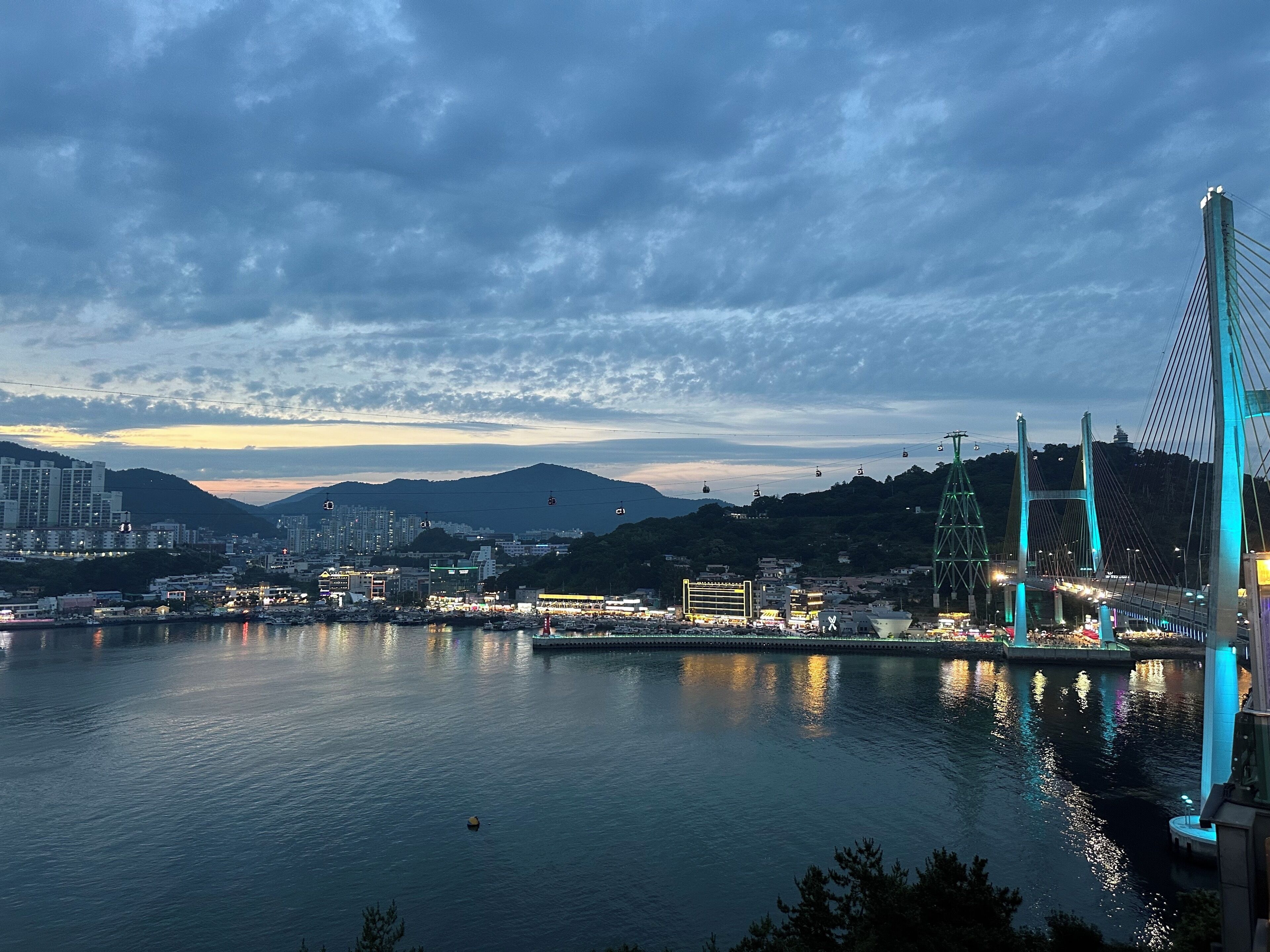 Paesaggio urbano con un ponte strallato in evidenza, un porto turistico con barche e edifici sullo sfondo.