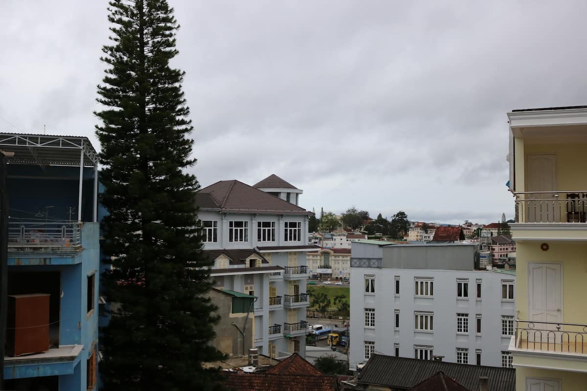 A multi-story building with balconies and a large tree in front.