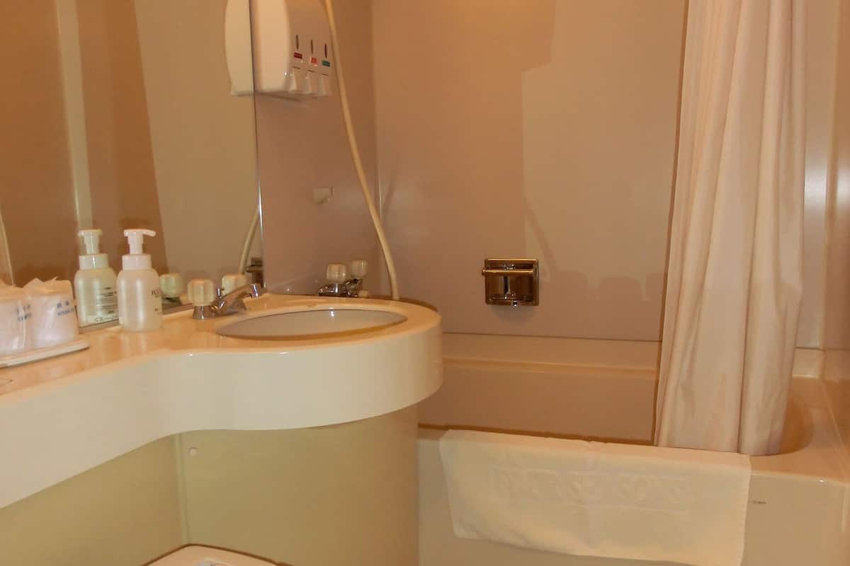 combined shower/bathtub, free toiletries, hair dryer, slippers