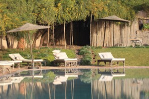 Outdoor pool, pool umbrellas, pool loungers