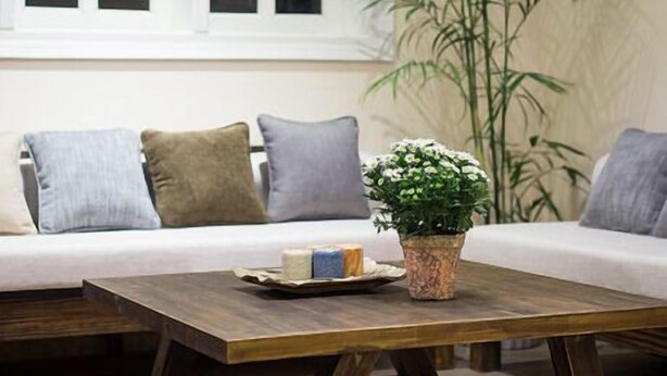 Una sala de estar con una mesa de centro de madera, una planta en maceta y un sofá con cojines.