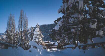 Hôtel Le Loup Blanc