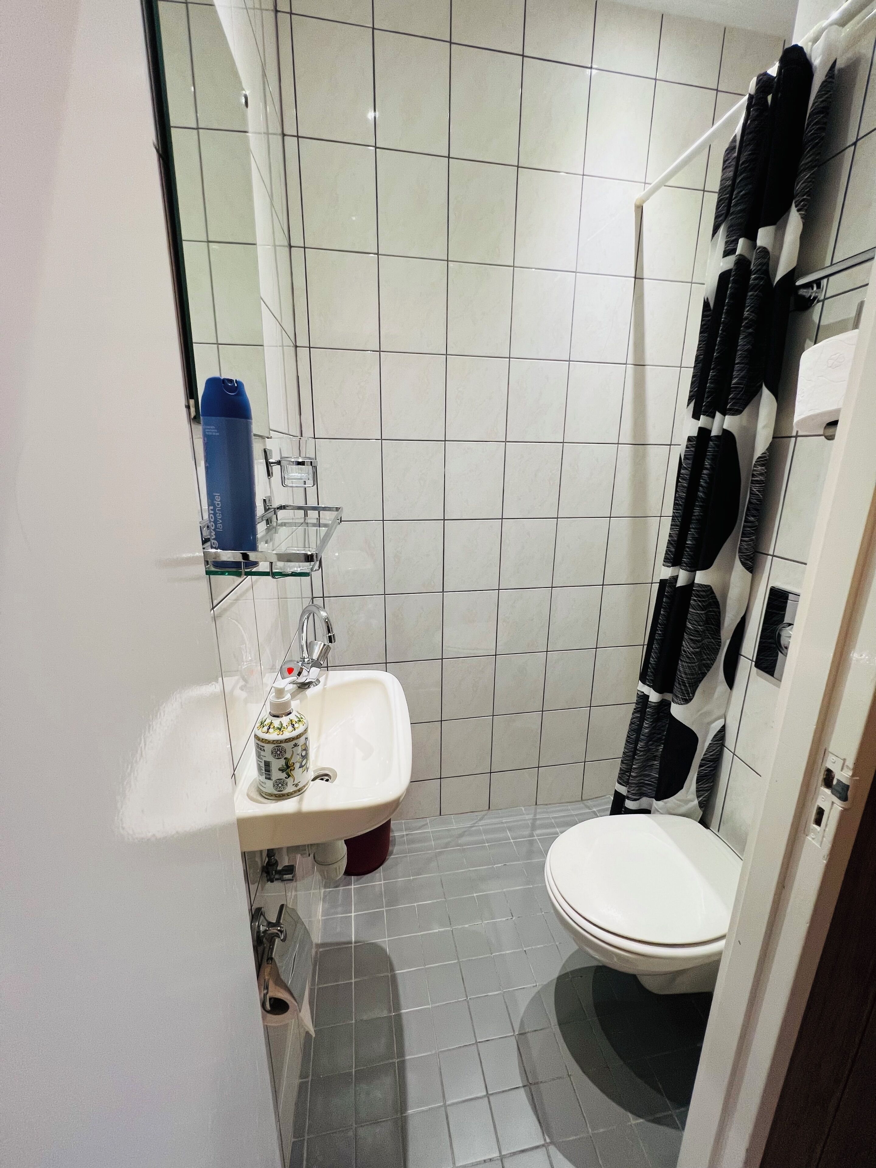 A small bathroom with a toilet, a sink, and a shower area. There are toiletries on the sink and a shower curtain.