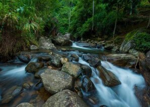Outdoor pool - Ramboda Falls Hotel (Kotmale)