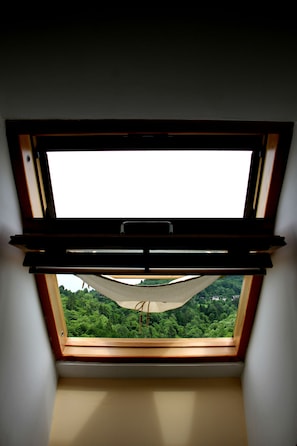 Ausblick vom Zimmer
