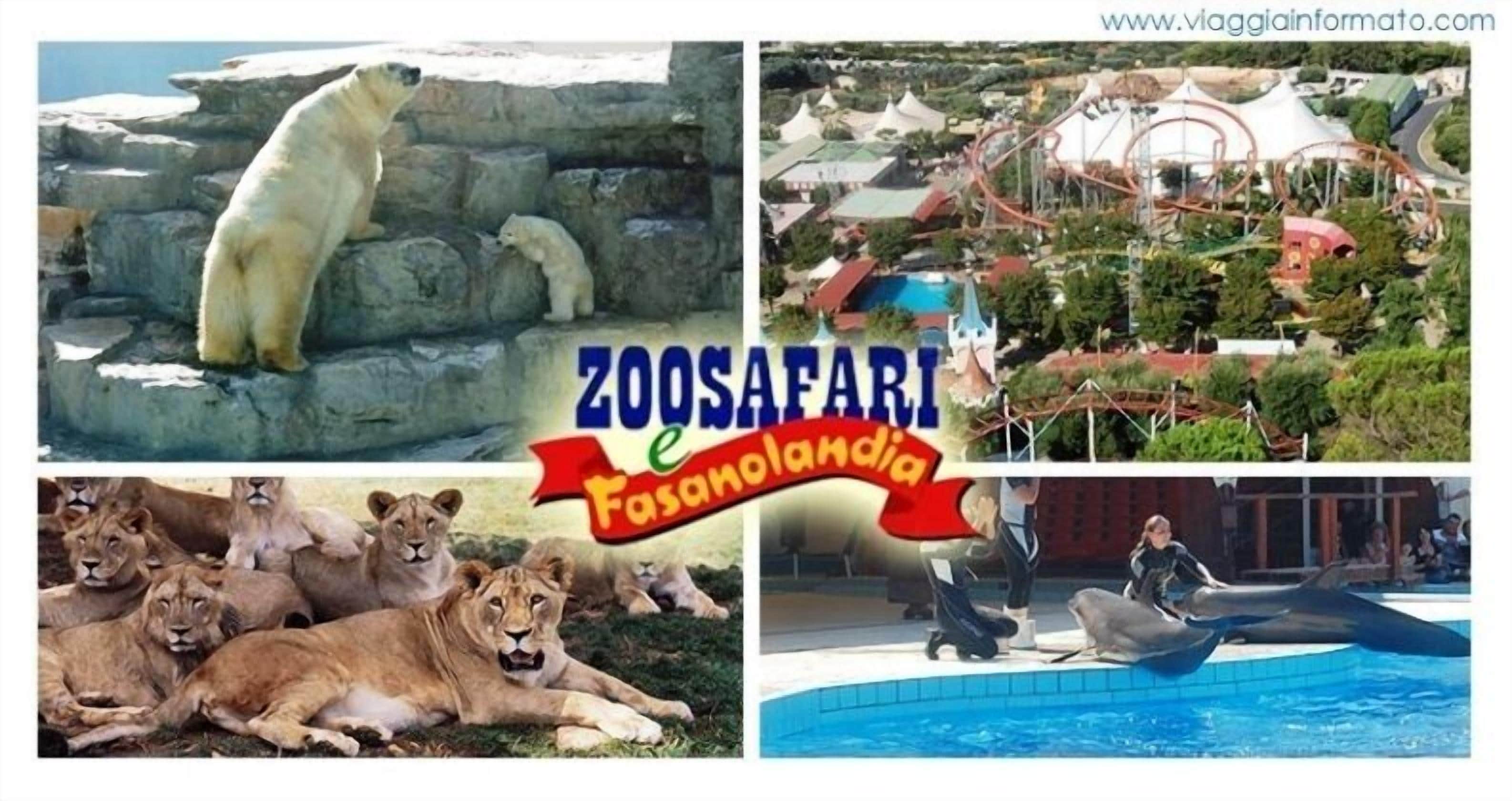 A polar bear on rocks, a zoo with a roller coaster, lions resting, and a dolphin performance.