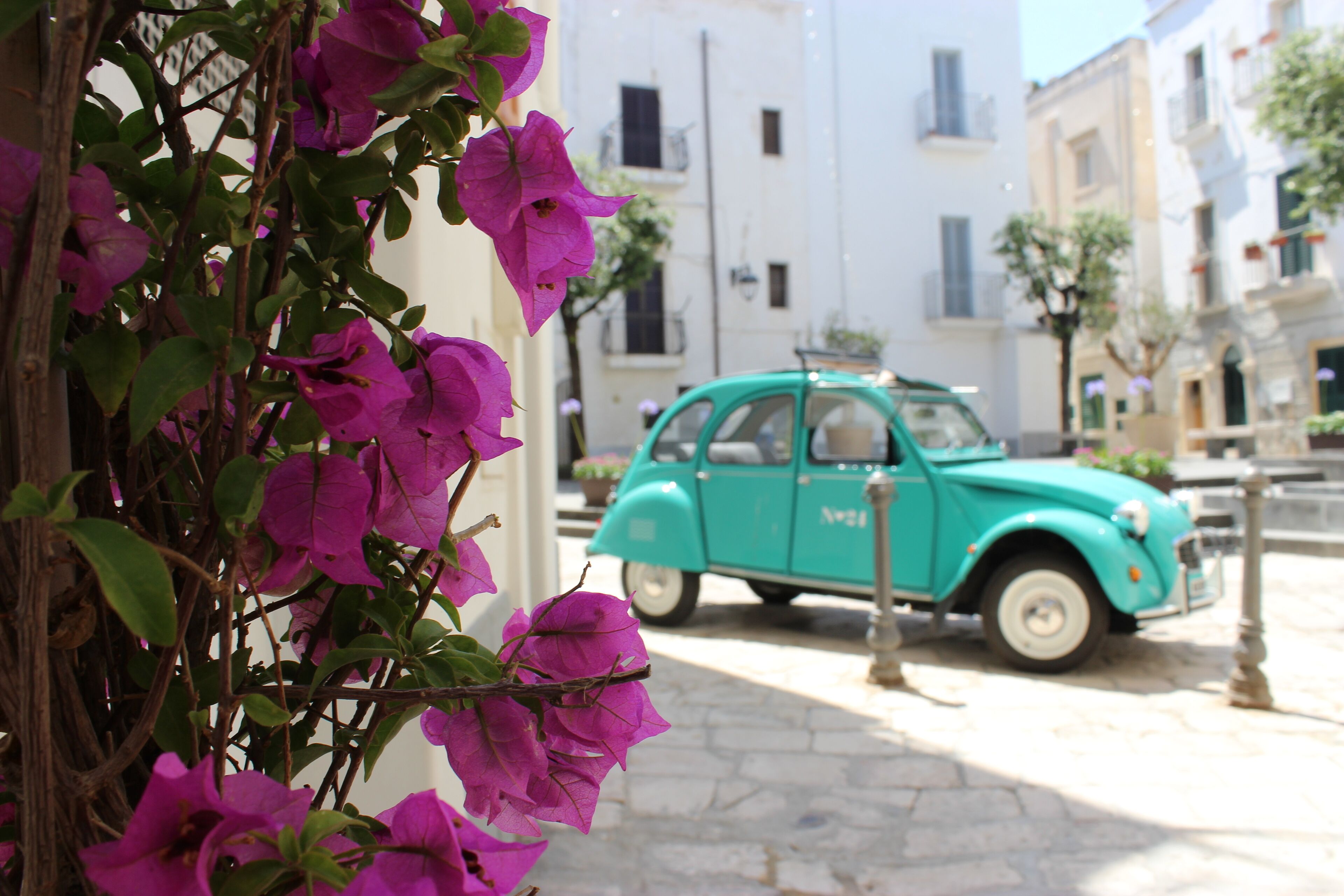 A turquoise vintage car parked on a cobblestone street, with a building in the background and purple bougainvillea flowers in the foreground.