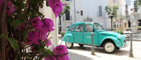 A turquoise vintage car parked on a cobblestone street, with a building in the background and purple bougainvillea flowers in the foreground.