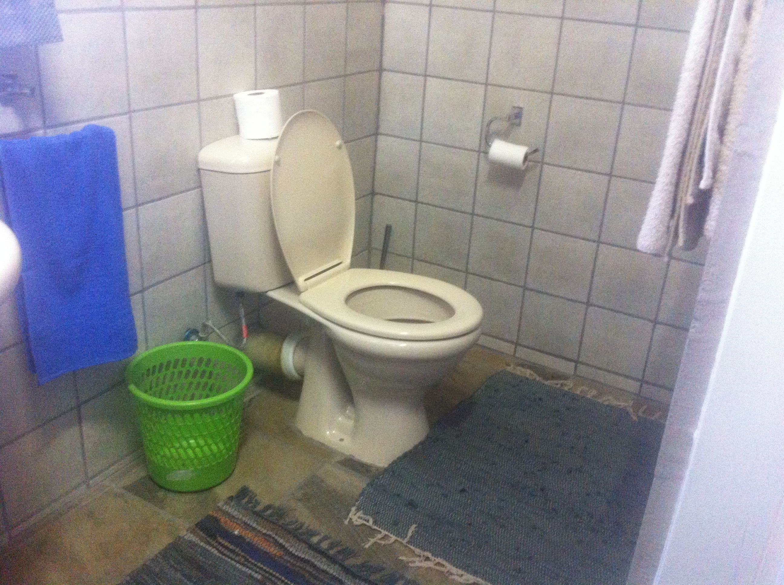 Un bany petit amb un vàter, una cistella de roba verda i un tapet blau.