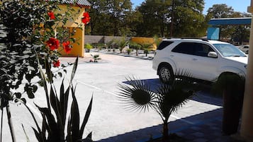 Gratis parkering