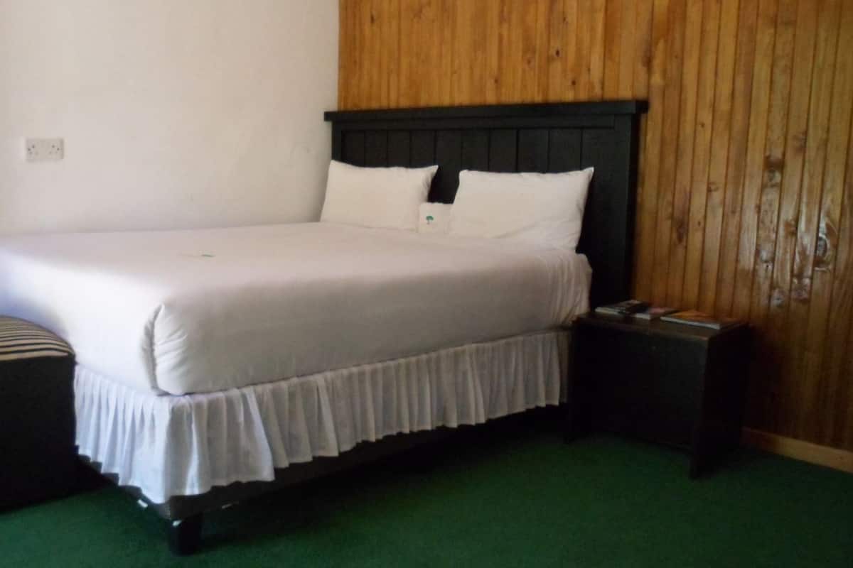 A single-bed room with a wooden headboard, white bedding, and a green carpet.