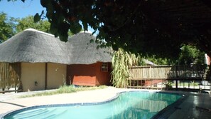 A swimming pool with a tiled edge, a thatched-roof structure, and a fenced area with trees.