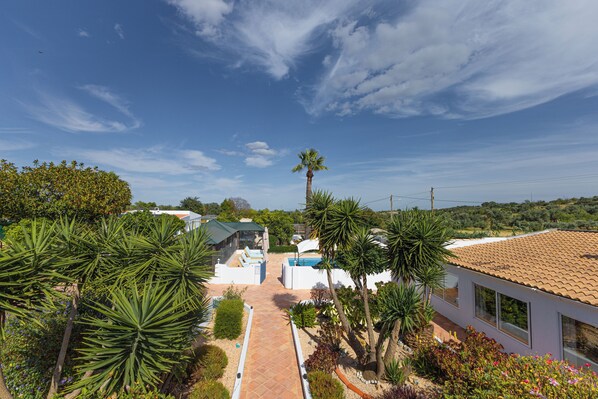 A residential property with a pathway leading to a house, surrounded by palm trees and a clear blue sky.