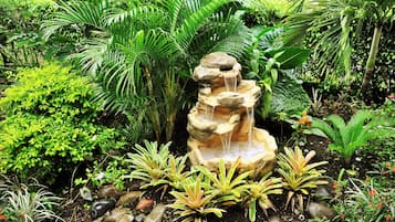 Jardí
