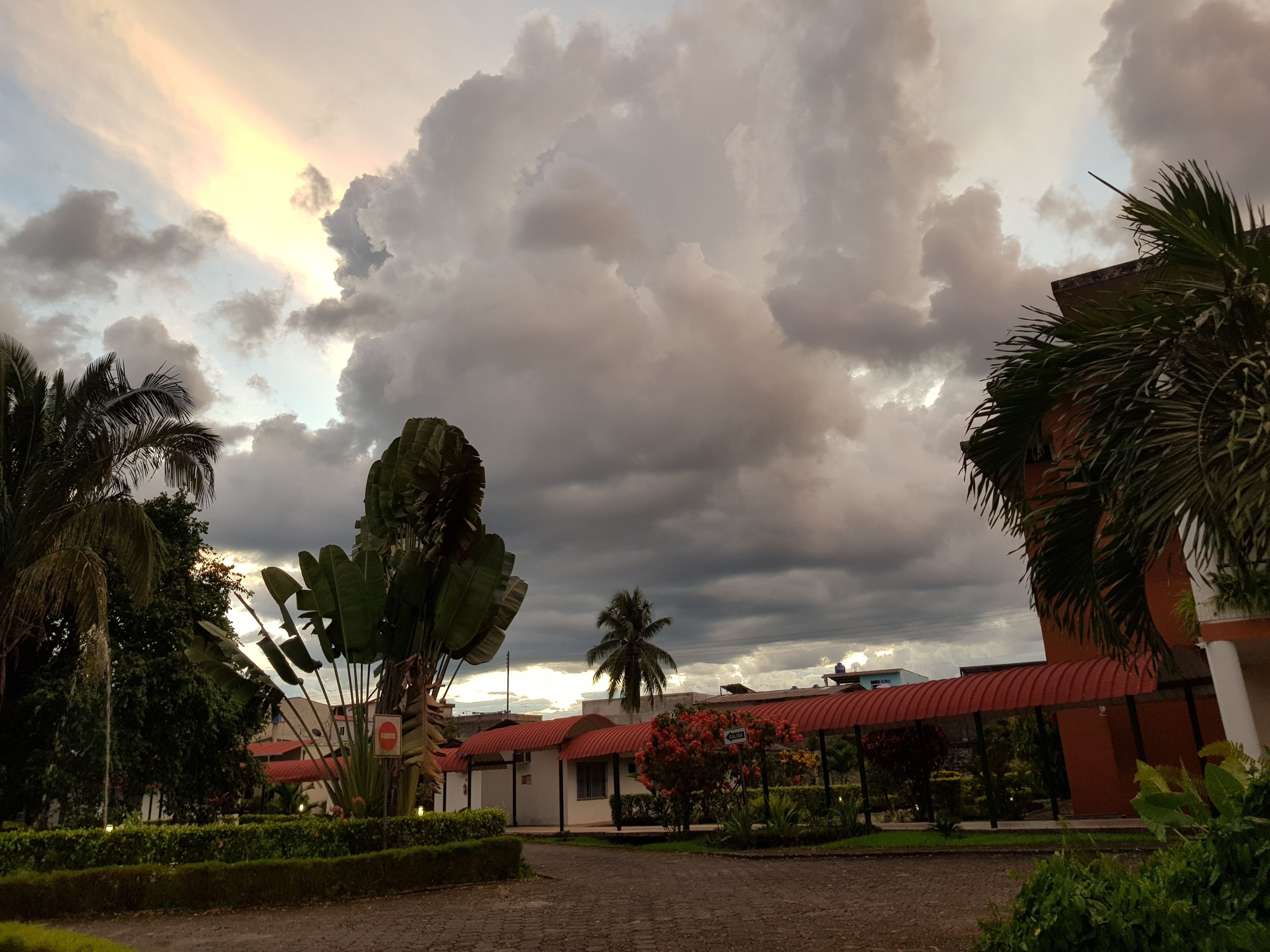 A hotel with a red-roofed building, a paved entrance, and lush greenery including palm trees and banana plants.