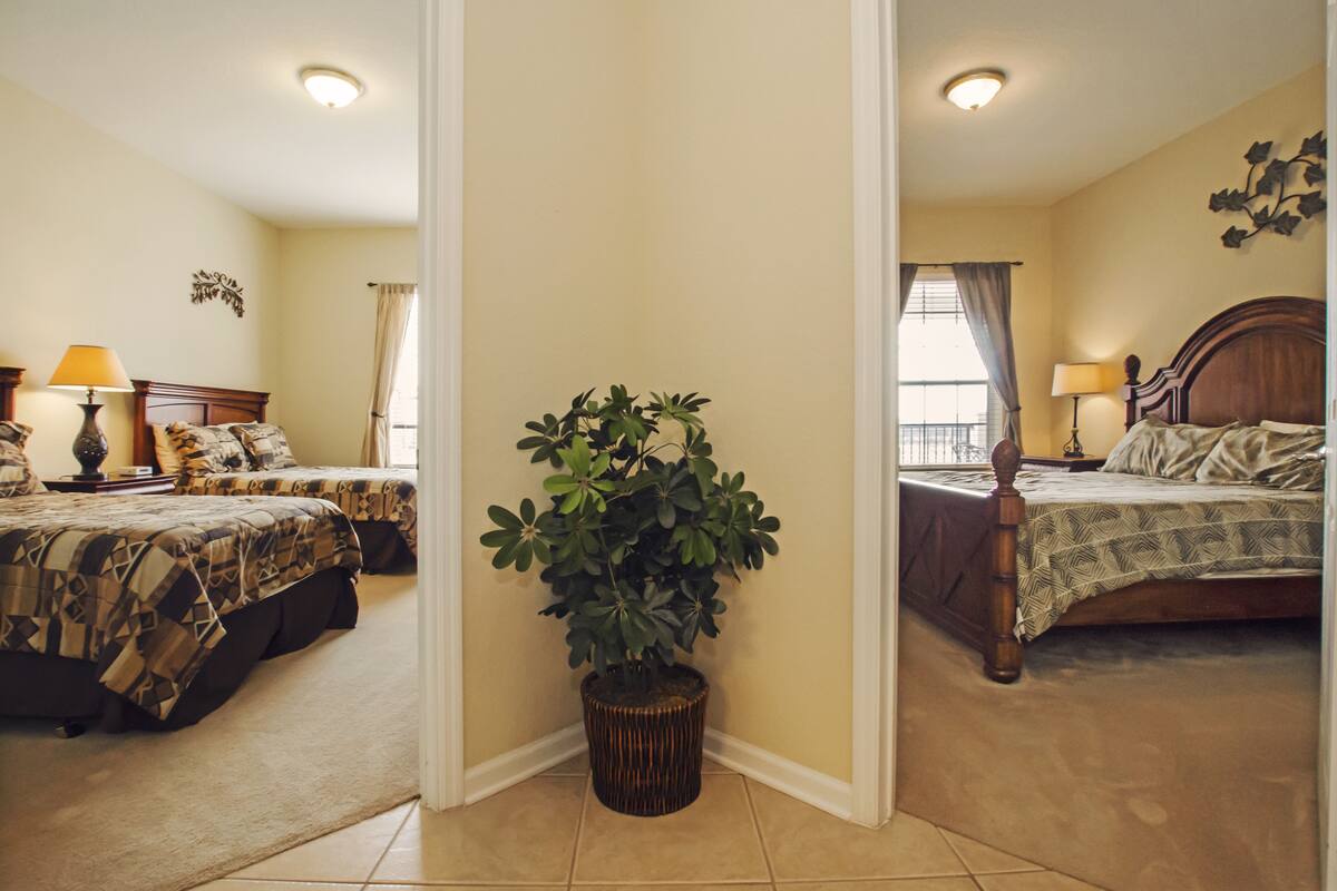 A hotel room with two beds, a potted plant, and a window with curtains.