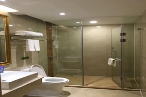 Un baño moderno con ducha envuelta en vidrio, inodoro y lavabo.