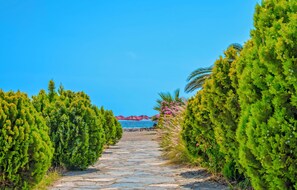 الغوص باستخدام المعدات، التزلج على الماء، الإبحار بالقوارب الشراعية