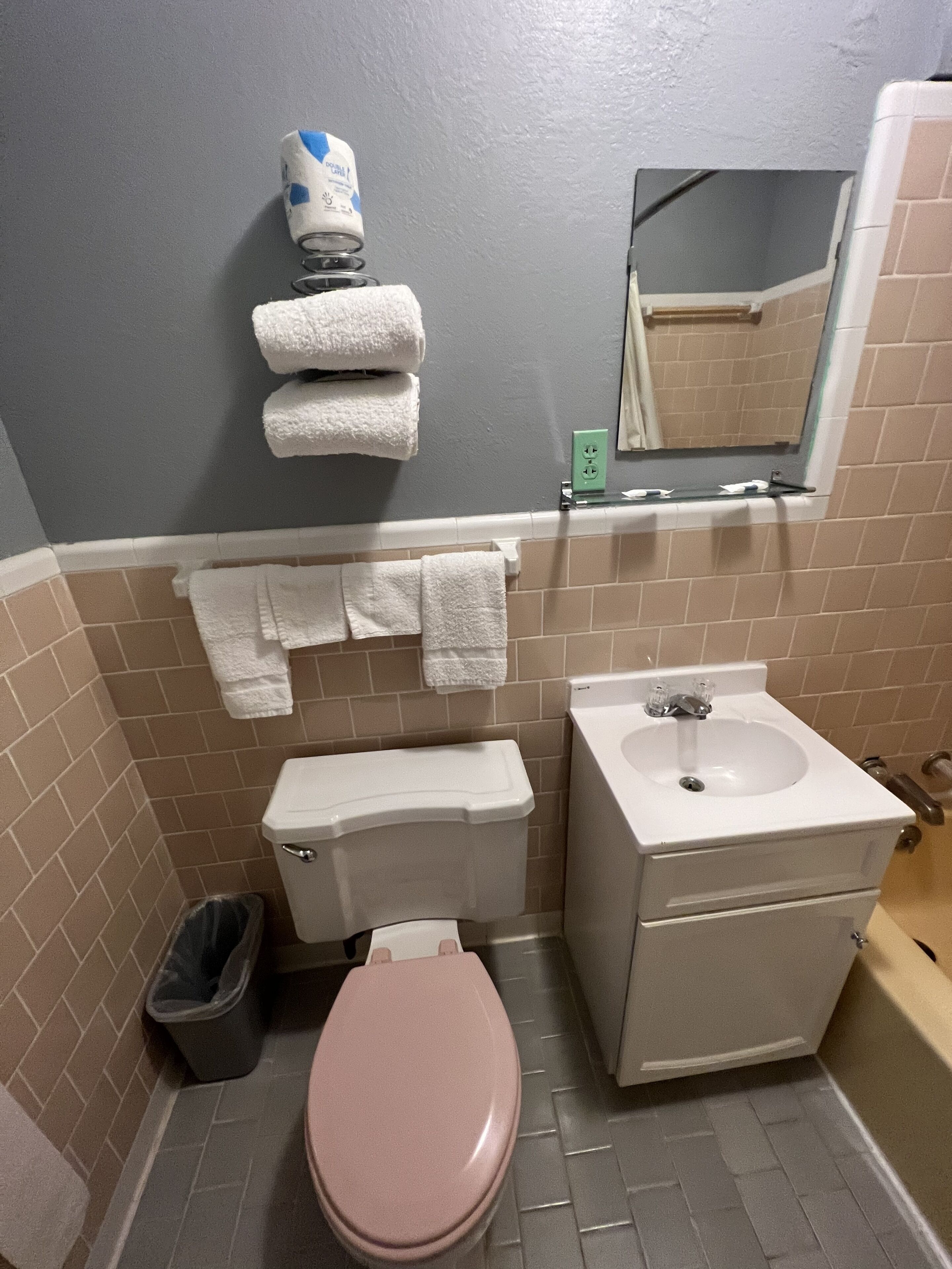 Een badkamer met toilet, wastafel en spiegel. Handdoeken hangen aan de muur en er staat een prullenbak.
