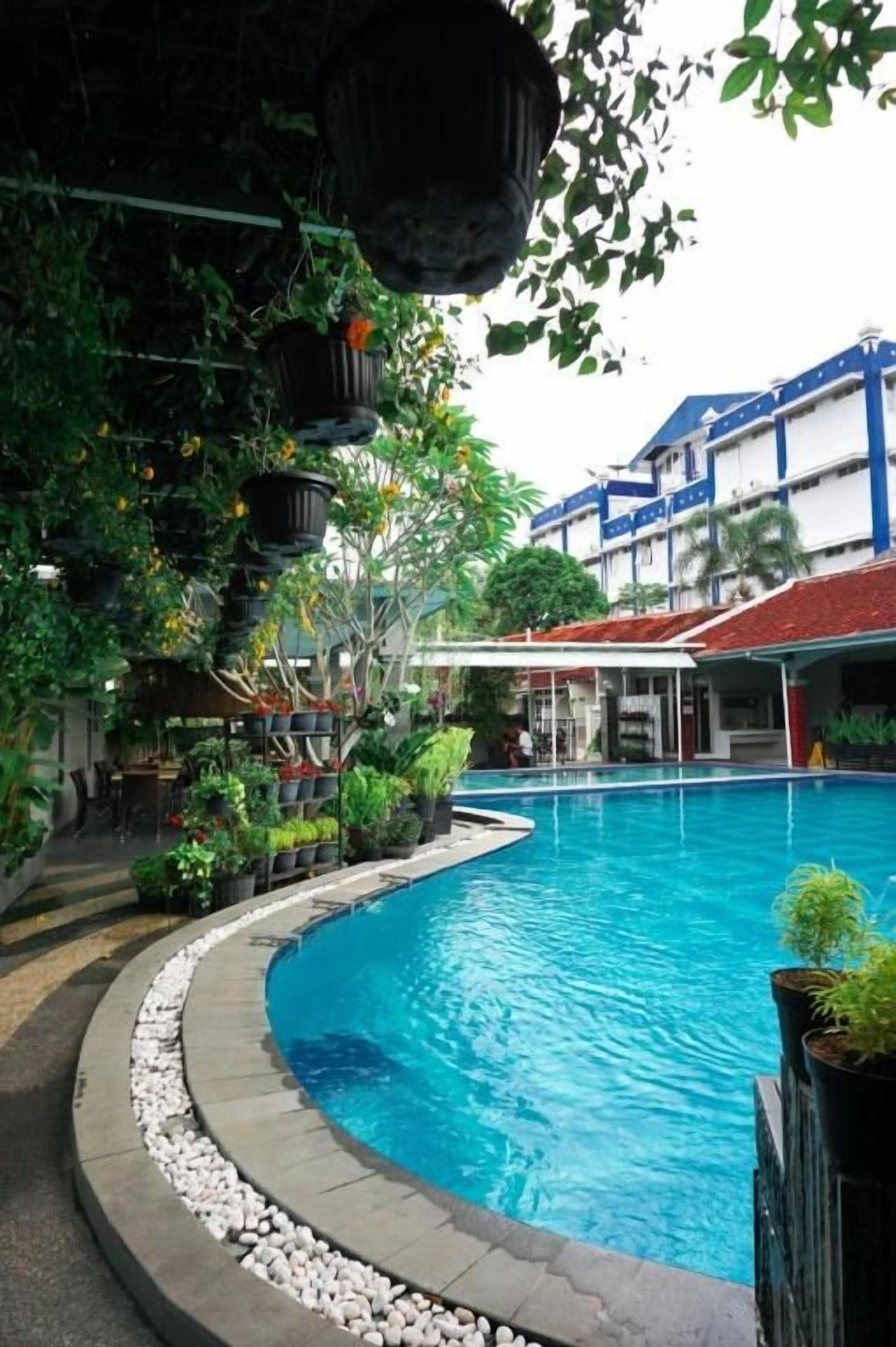 A swimming pool with a curved edge, surrounded by a pebble border, and a building with a red roof in the background.