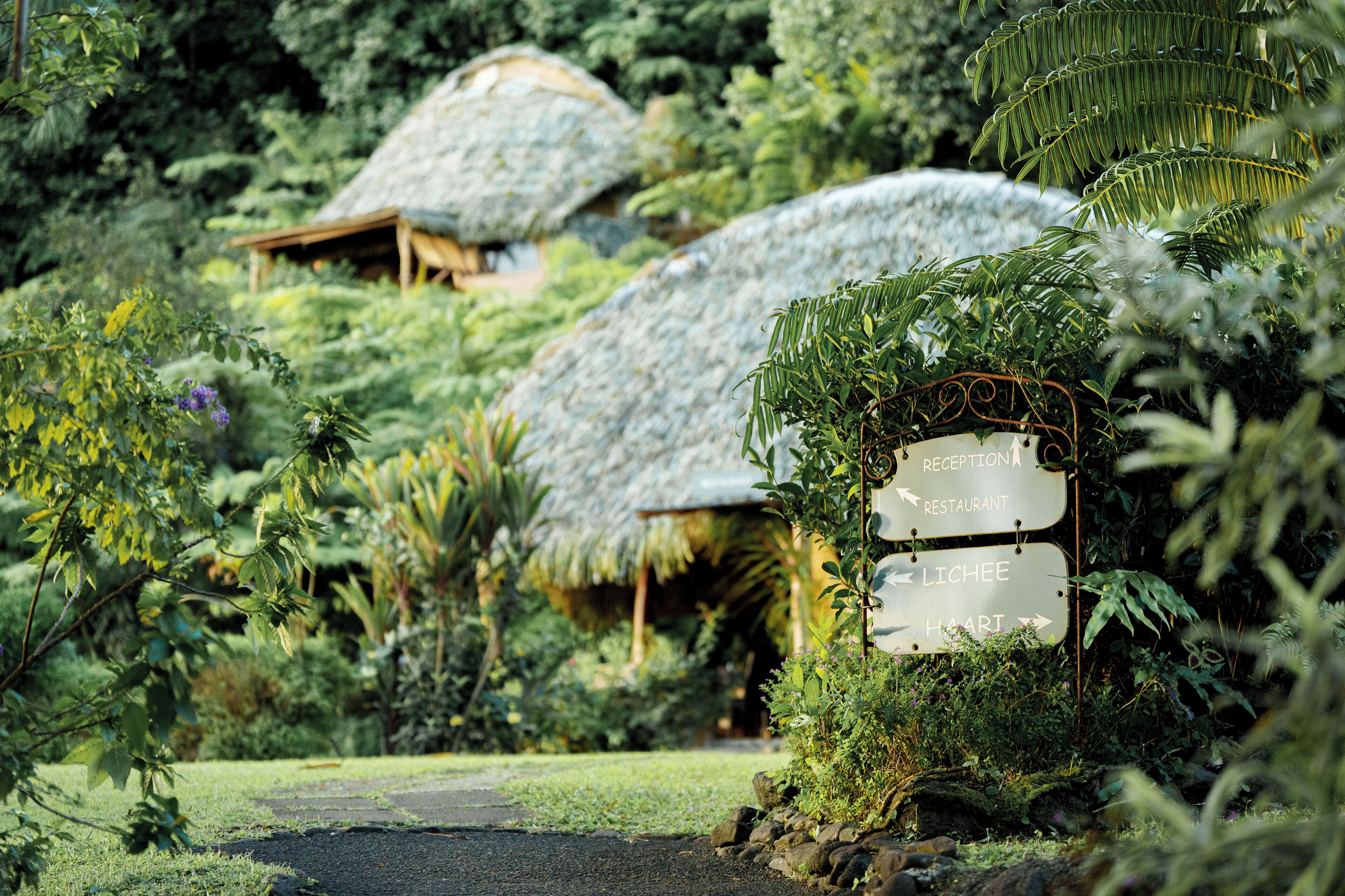 Aperto a colazione, cucina locale e internazionale, con vista sul mare 