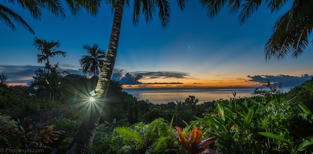 Breakfast, dinner served; local and international cuisine, ocean views