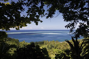 Utsikt fra overnattingsstedet