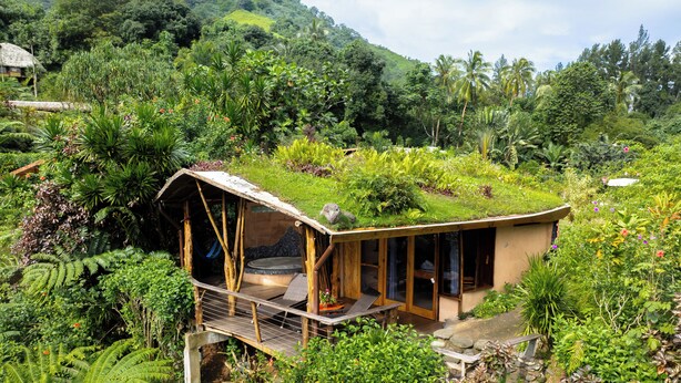 A small, eco-friendly cabin with a thatched roof, surrounded by lush greenery and tropical plants. - Vanira Lodge (Taiarapu-Ouest)