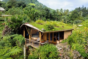 Una cabaña pequeña y ecológica con techo de paja, rodeada de abundante follaje y plantas tropicales.