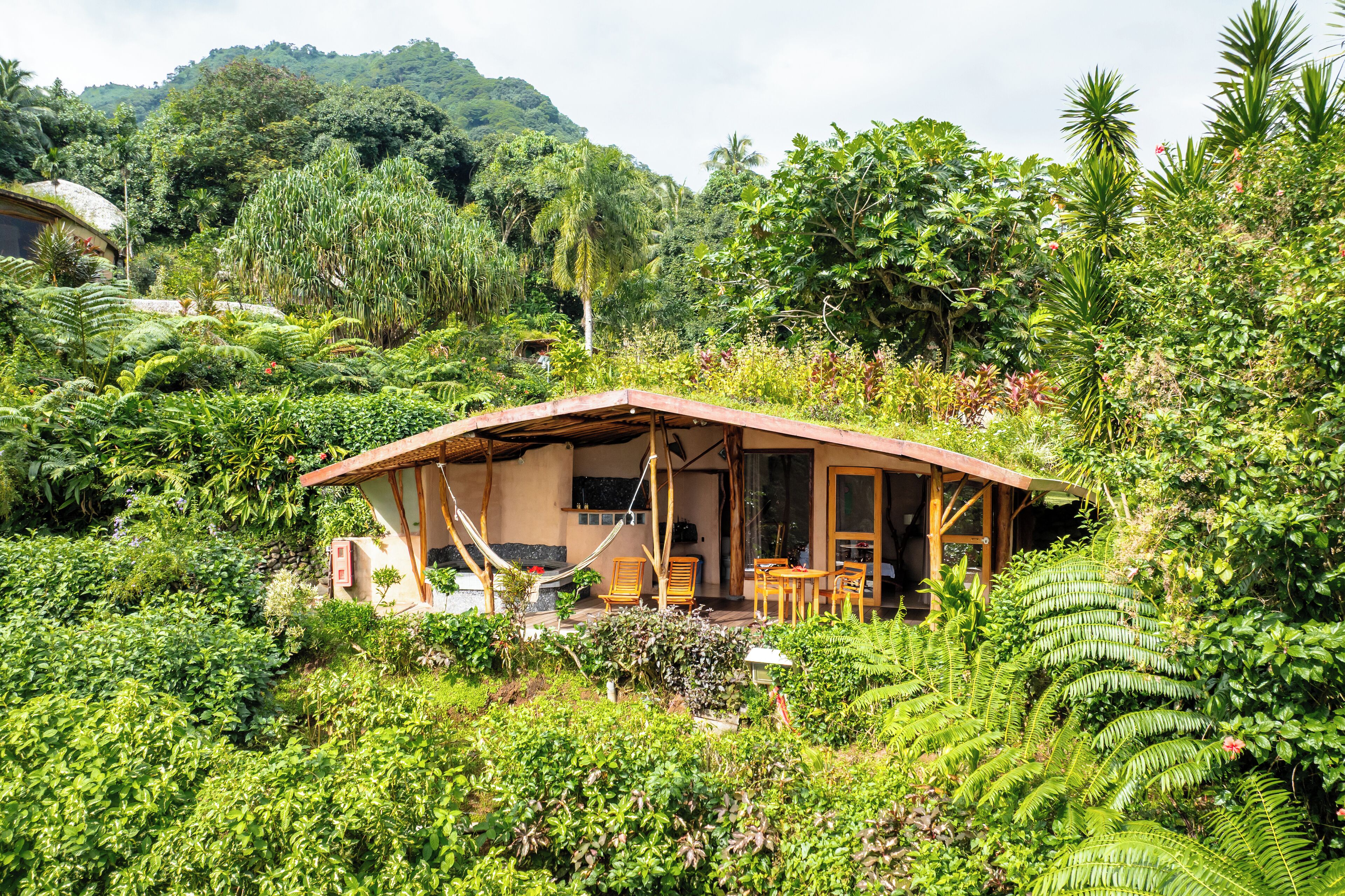Una casa de madera rústica con techo de paja, rodeada de exuberante vegetación y plantas tropicales.