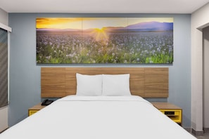 Rom, 1 queensize-seng, tilgjengelighetstilpasset, ikke-røyk (Mobility/Hearing, Tub w/ Grab Bars) | Skrivebord, skrivebord for bærbar PC og wi-fi (inkludert)