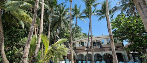 Un hotel frente a la playa con palmeras, mobiliario exterior y un edificio con vistas al mar.