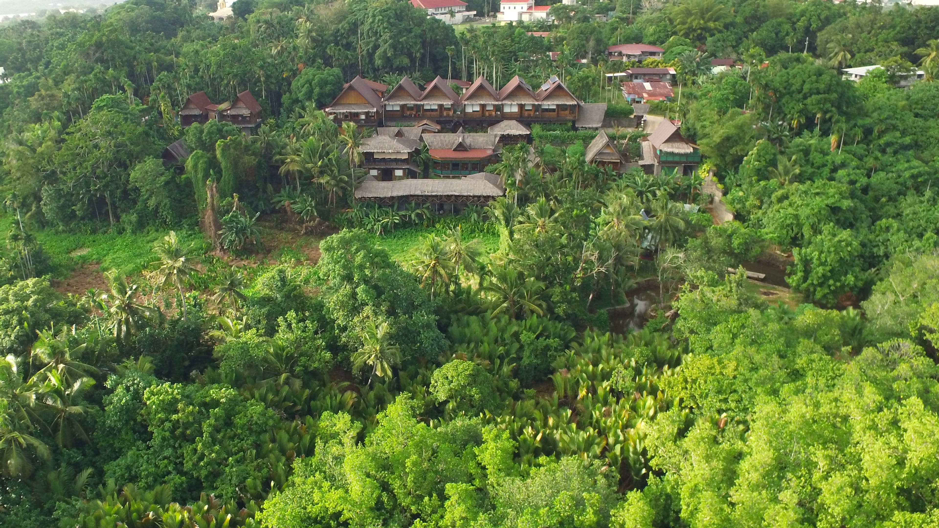 A cluster of traditional thatched-roof houses surrounded by dense tropical vegetation.